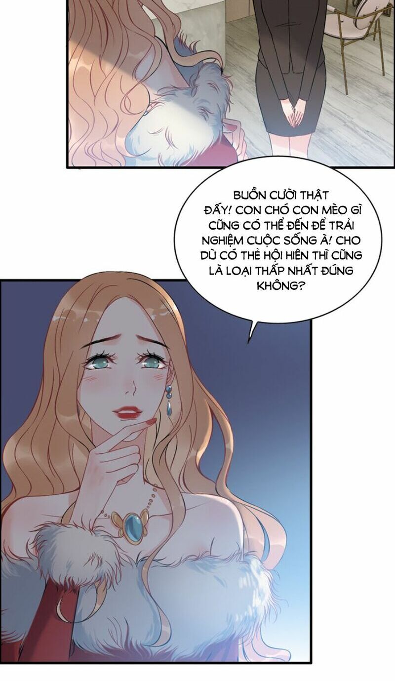 Cô Vợ Hợp Đồng Bỏ Trốn Của Tổng Giám Đốc Chapter 107 - 14