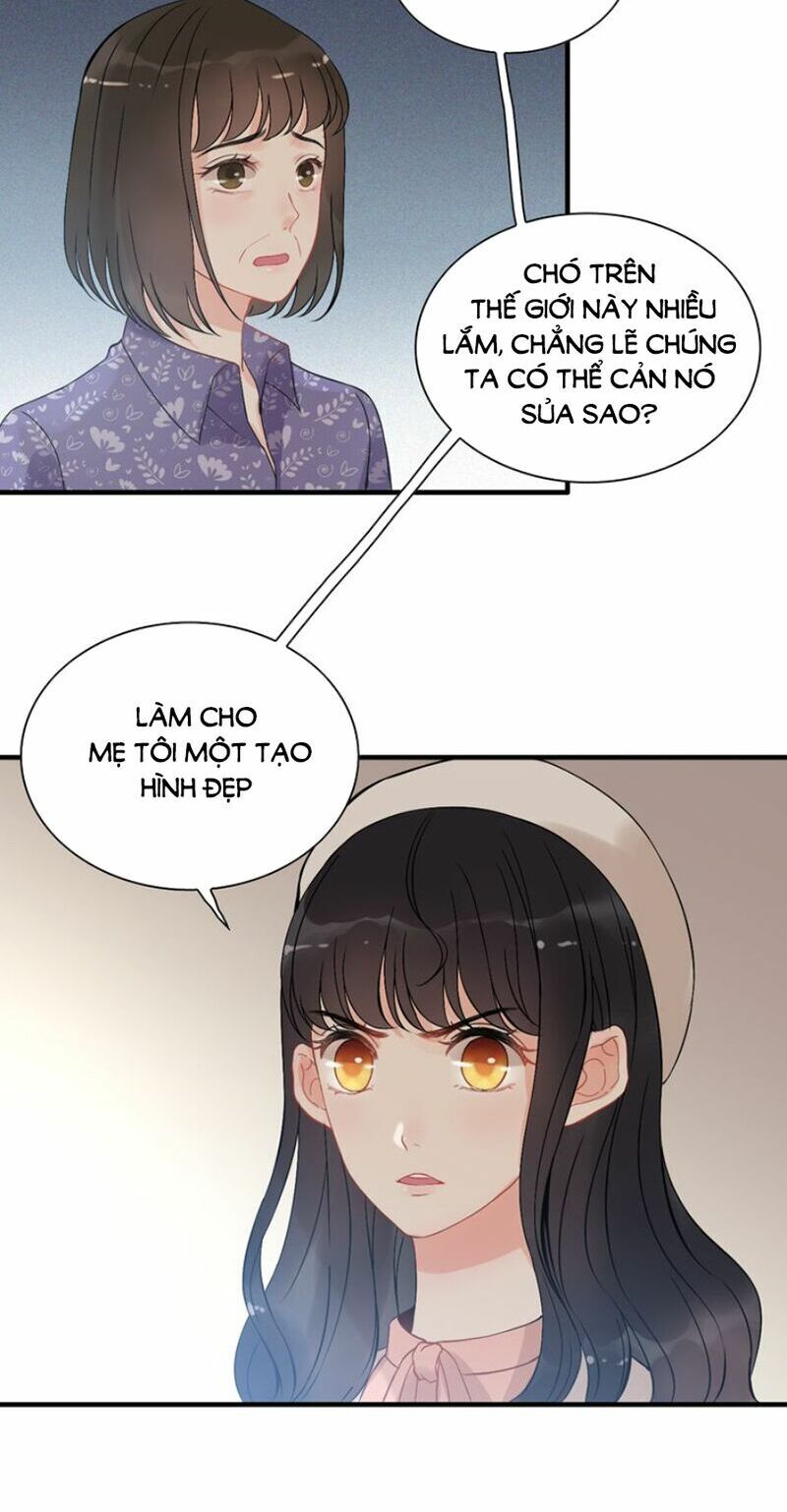 Cô Vợ Hợp Đồng Bỏ Trốn Của Tổng Giám Đốc Chapter 107 - 16