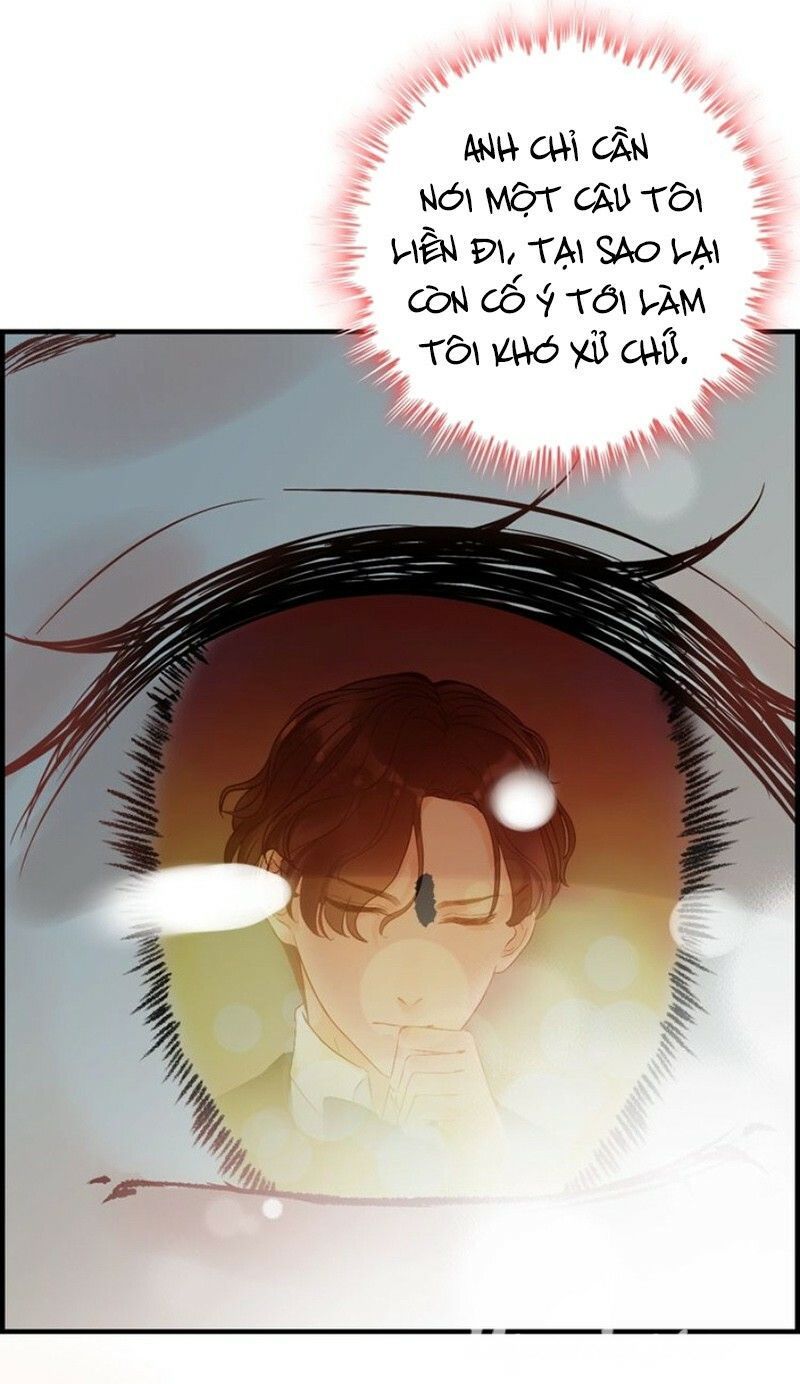 Cô Vợ Hợp Đồng Bỏ Trốn Của Tổng Giám Đốc Chapter 135 - 23