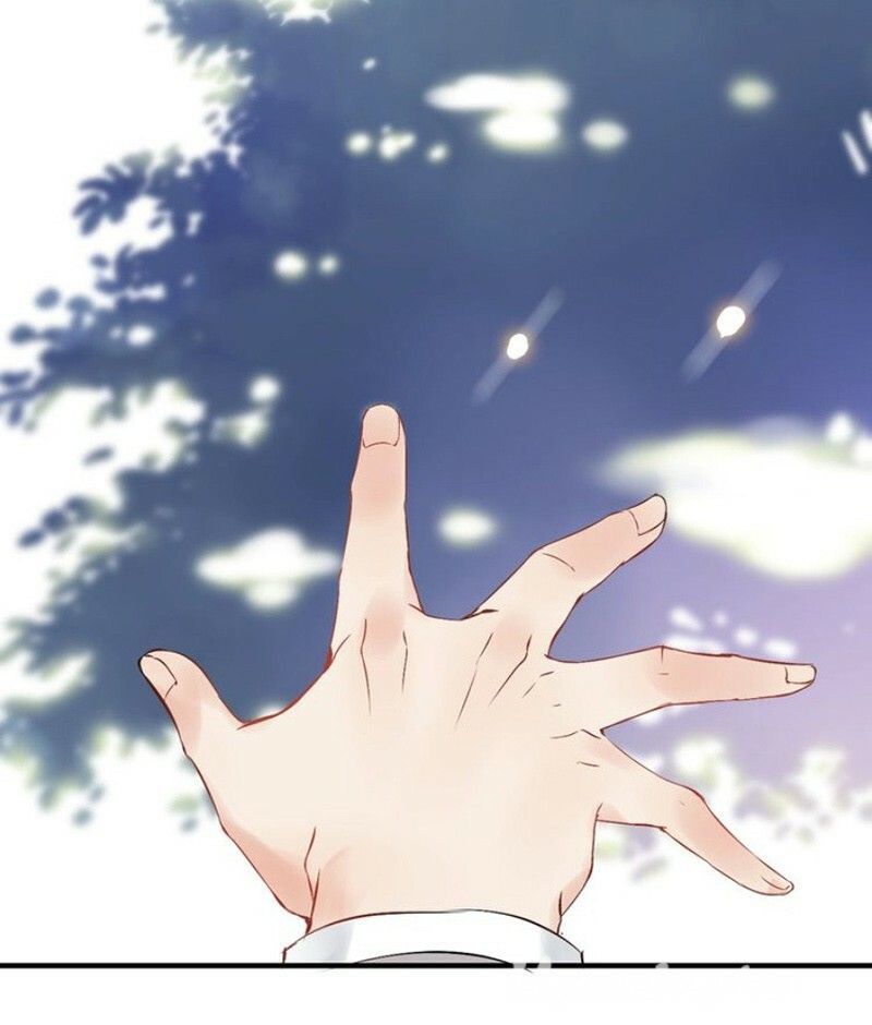 Cô Vợ Hợp Đồng Bỏ Trốn Của Tổng Giám Đốc Chapter 135 - 37