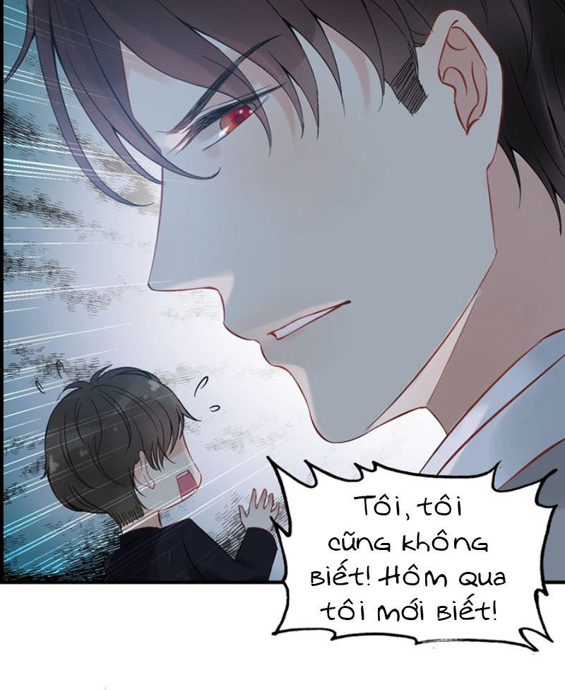 Cô Vợ Hợp Đồng Bỏ Trốn Của Tổng Giám Đốc Chapter 136 - 28