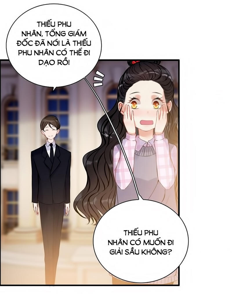 Cô Vợ Hợp Đồng Bỏ Trốn Của Tổng Giám Đốc Chapter 97 - 5