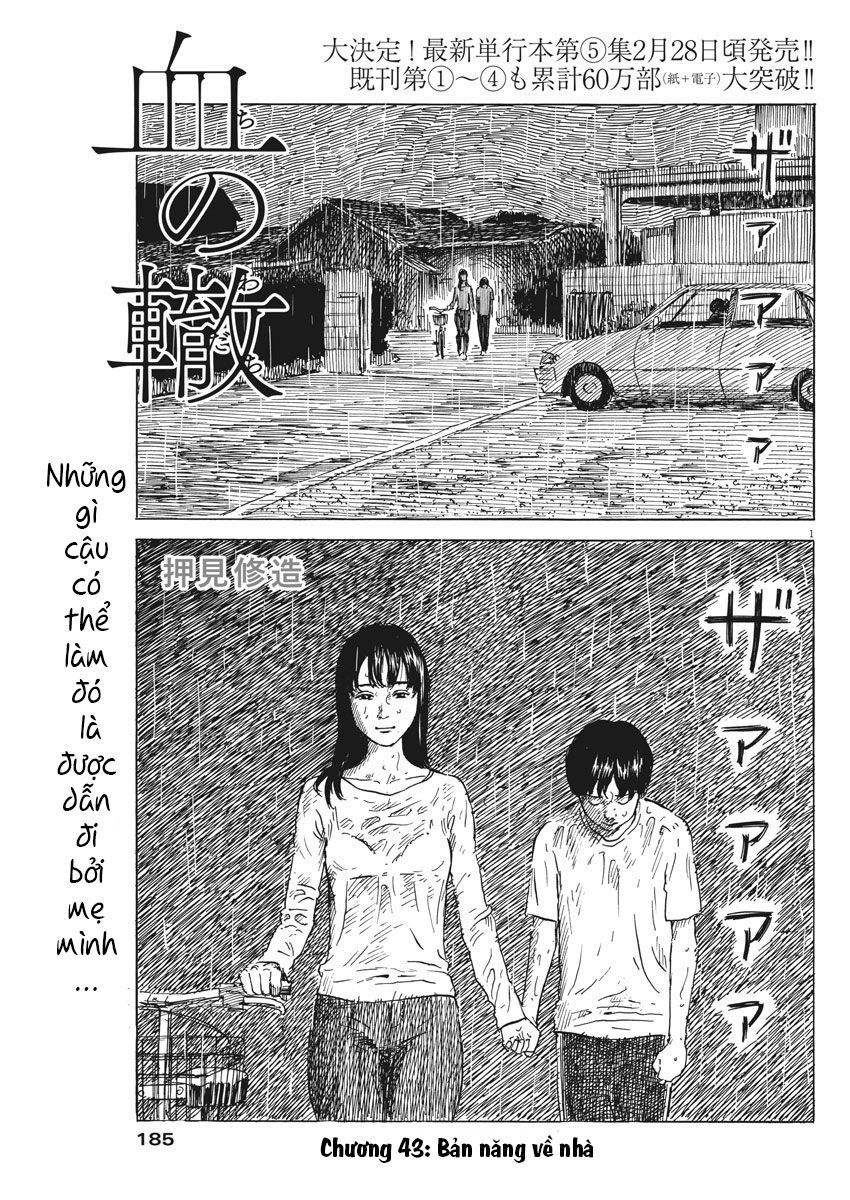 Đường Mòn Máu Chapter 43 - 3