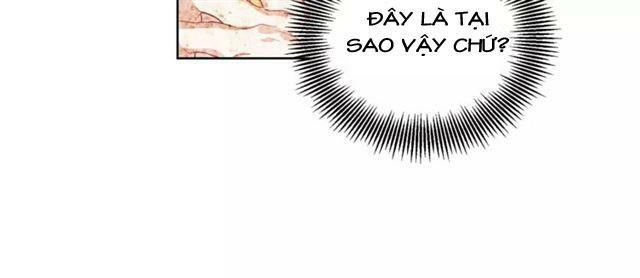 Nữ Hoàng Ngoại Khoa Chapter 26 - 65