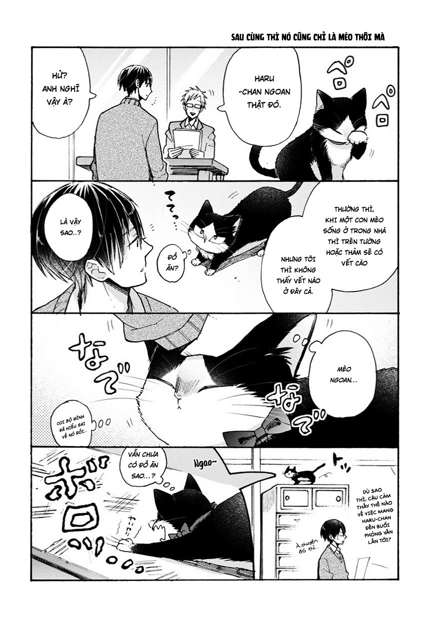 Doukyonin Wa Hiza, Tokidoki, Atama No Ue Chapter 6.7 - 8
