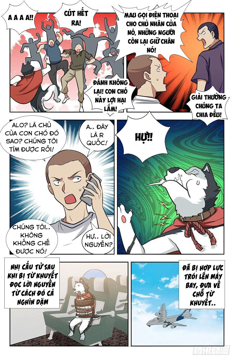 Tối Cường Phản Sáo Lộ Hệ Thống Chapter 311 - 10