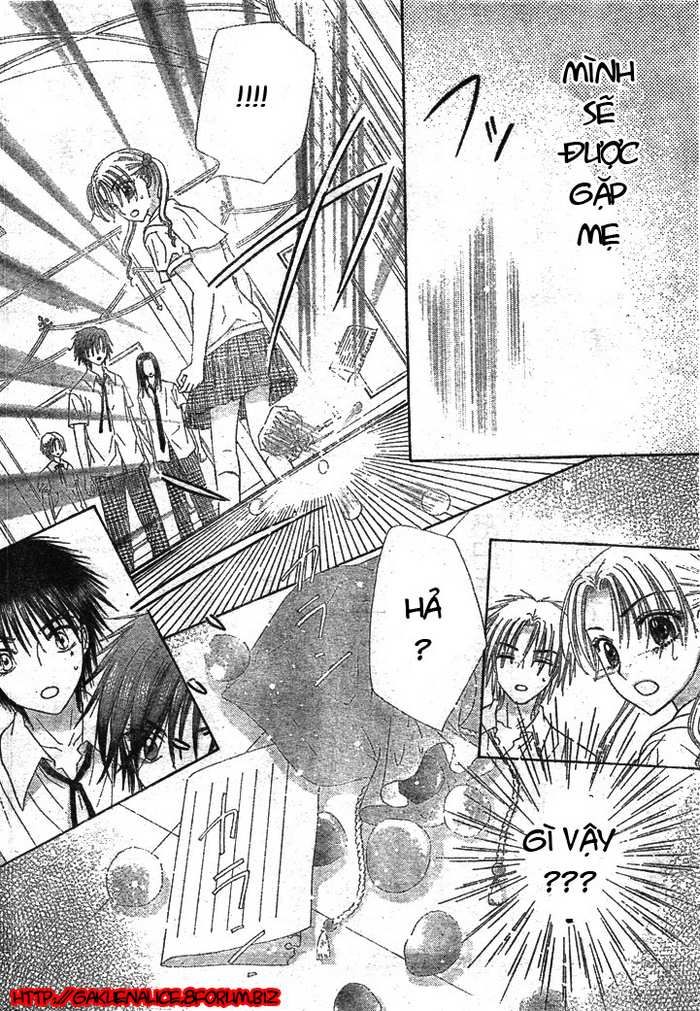 Học Viện Alice Chapter 125 - 17