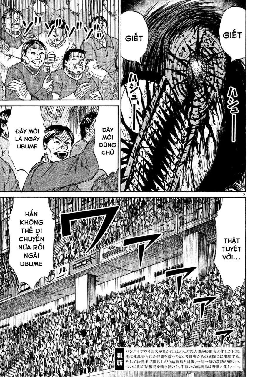 Đảo Ma Cà Rồng Phần 3 Chapter 217 - 3