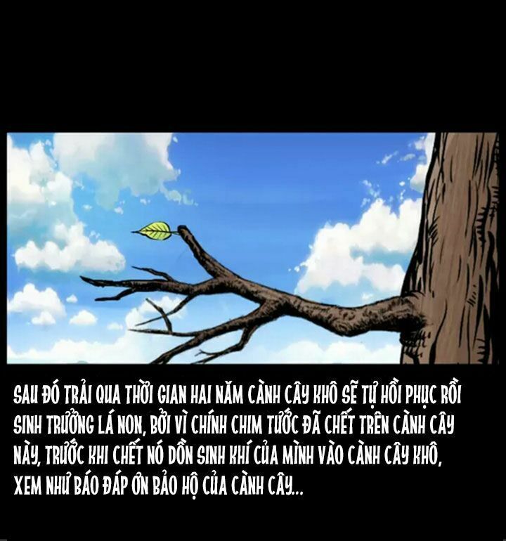 U Minh Ngụy Tượng Chapter 38 - 12