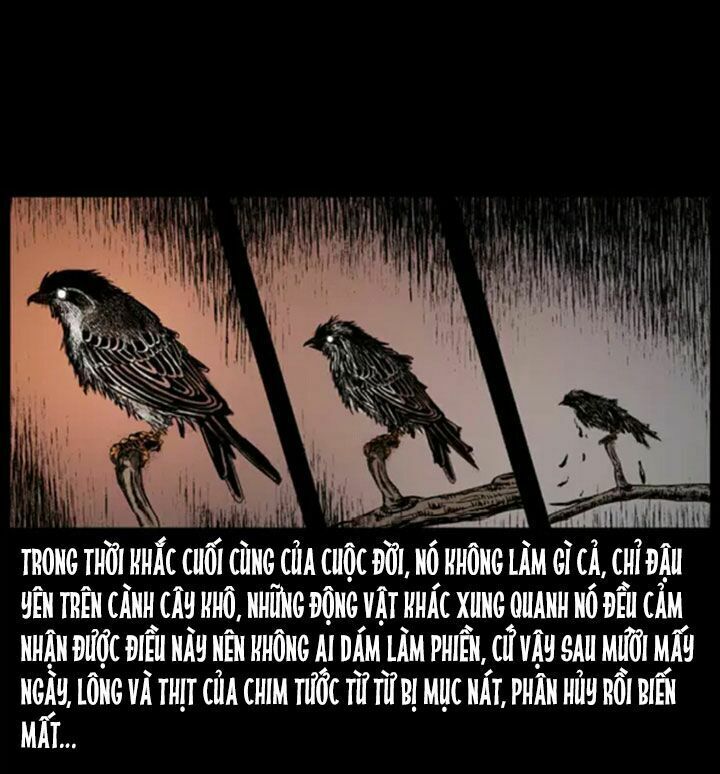 U Minh Ngụy Tượng Chapter 38 - 10