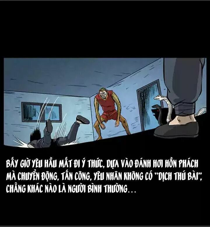 U Minh Ngụy Tượng Chapter 66 - 65