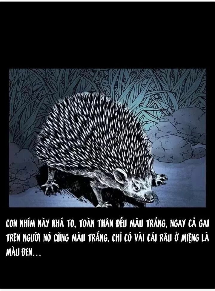 U Minh Ngụy Tượng Chapter 79 - 32