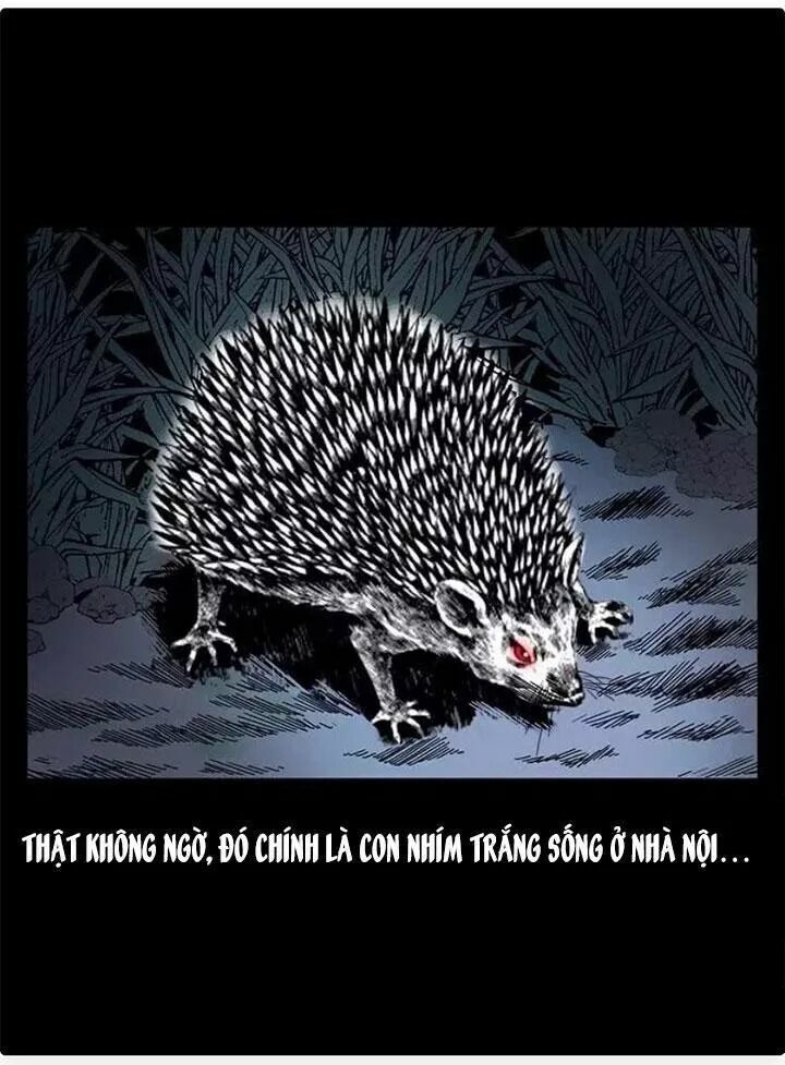 U Minh Ngụy Tượng Chapter 79 - 72