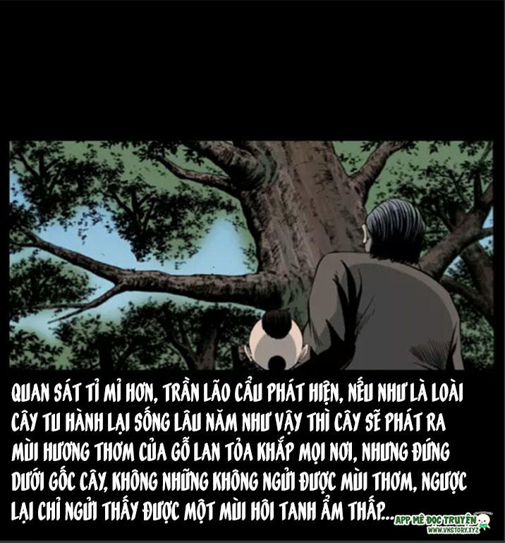 U Minh Ngụy Tượng Chapter 8 - 17