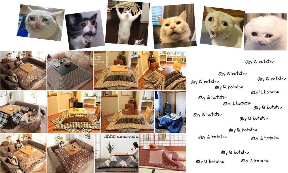 Amano Megumi Wa Suki Darake! Chapter 60 - 19