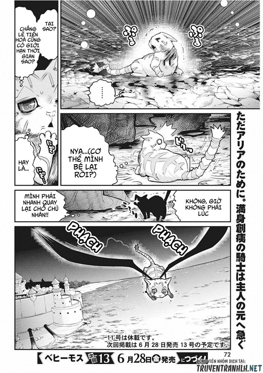 I Am Behemoth Of The S Rank Monster But I Am Mistaken As A Cat And I Live As A Pet Of Elf Girl Chapter 15 - 20