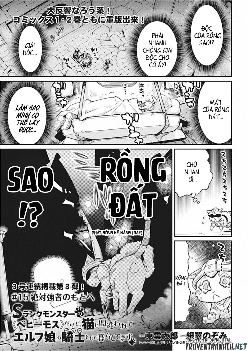 I Am Behemoth Of The S Rank Monster But I Am Mistaken As A Cat And I Live As A Pet Of Elf Girl Chapter 15 - 3