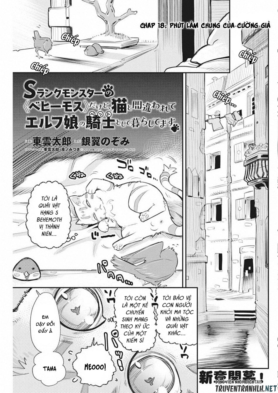 I Am Behemoth Of The S Rank Monster But I Am Mistaken As A Cat And I Live As A Pet Of Elf Girl Chapter 18 - 3
