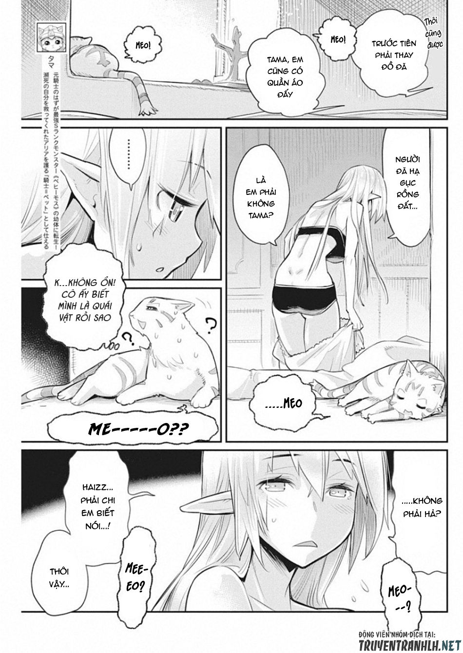 I Am Behemoth Of The S Rank Monster But I Am Mistaken As A Cat And I Live As A Pet Of Elf Girl Chapter 18 - 5