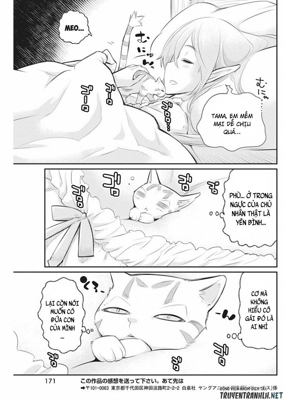 I Am Behemoth Of The S Rank Monster But I Am Mistaken As A Cat And I Live As A Pet Of Elf Girl Chapter 19 - 25