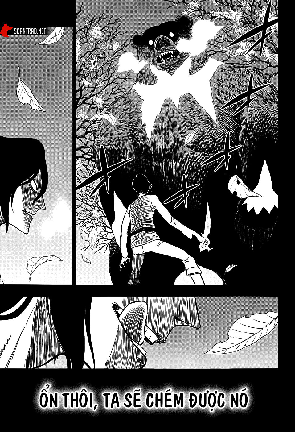 Black Clover - Thế Giới Phép Thuật Chapter 278 - 13