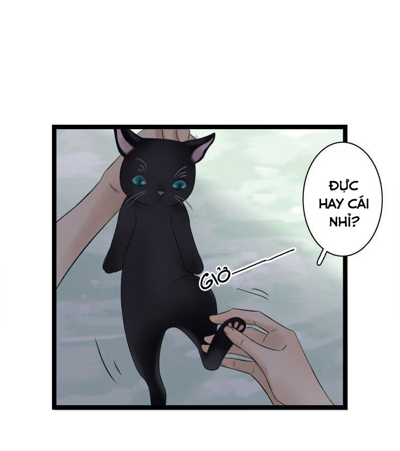 Thái Tử Bị Hoang Tưởng Chapter 33 - 12