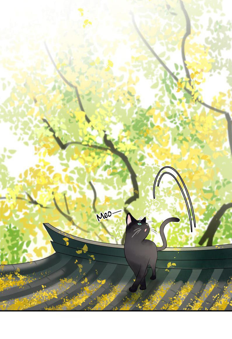 Thái Tử Bị Hoang Tưởng Chapter 33 - 4