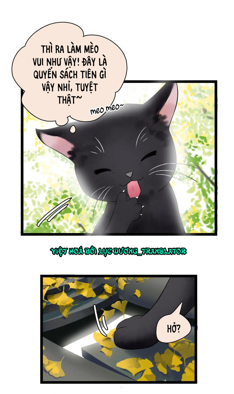 Thái Tử Bị Hoang Tưởng Chapter 33 - 5