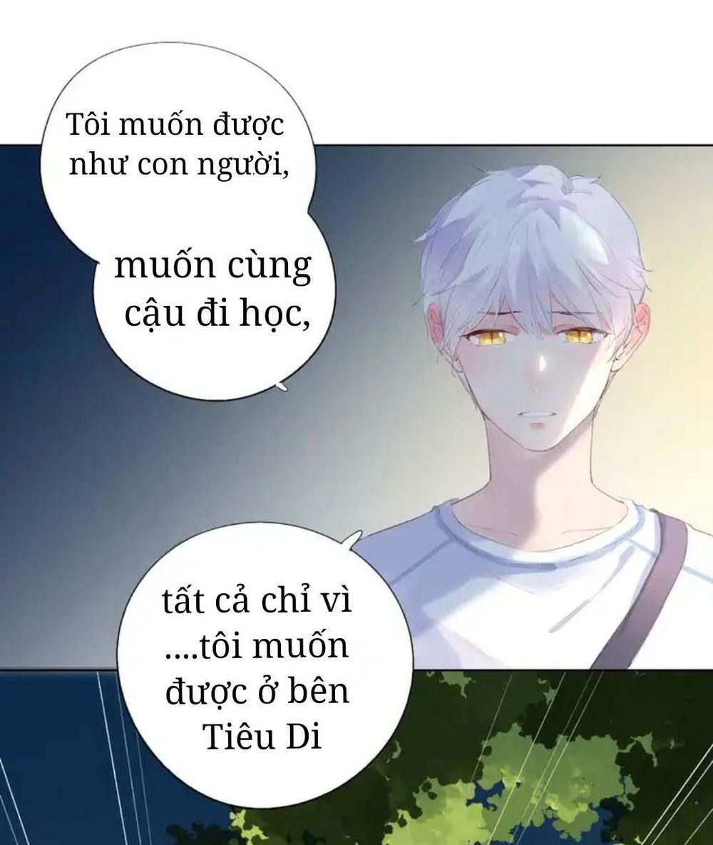 Sos! Tôi Đã Yêu Một Con Sâu Bướm Chapter 41 - 24
