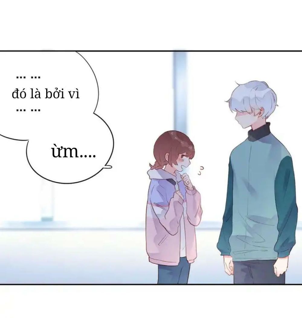 Sos! Tôi Đã Yêu Một Con Sâu Bướm Chapter 49 - 34