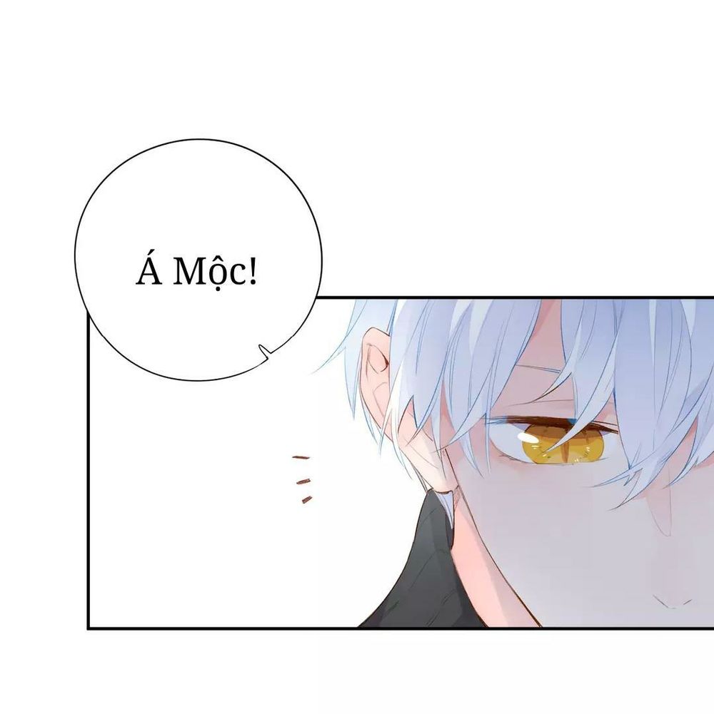 Sos! Tôi Đã Yêu Một Con Sâu Bướm Chapter 51 - 26