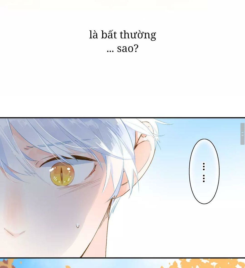 Sos! Tôi Đã Yêu Một Con Sâu Bướm Chapter 51 - 53