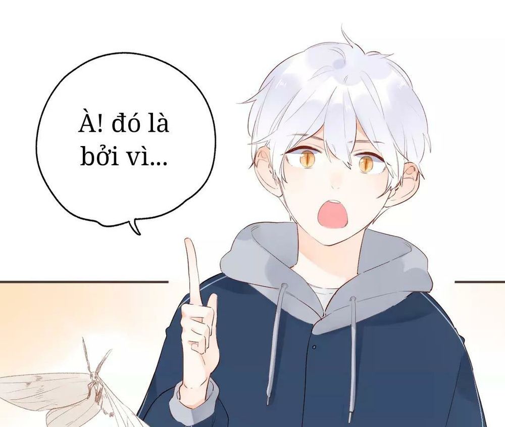 Sos! Tôi Đã Yêu Một Con Sâu Bướm Chapter 52 - 18