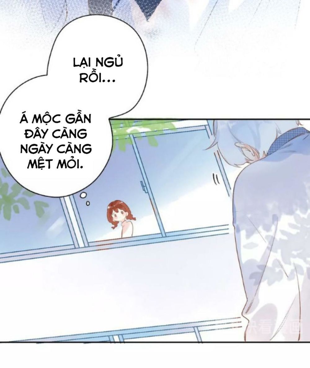 Sos! Tôi Đã Yêu Một Con Sâu Bướm Chapter 56 - 43