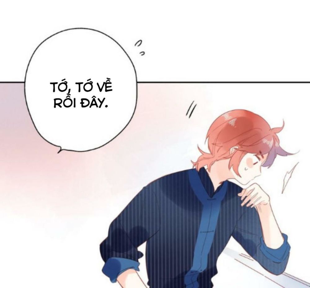 Sos! Tôi Đã Yêu Một Con Sâu Bướm Chapter 56 - 64