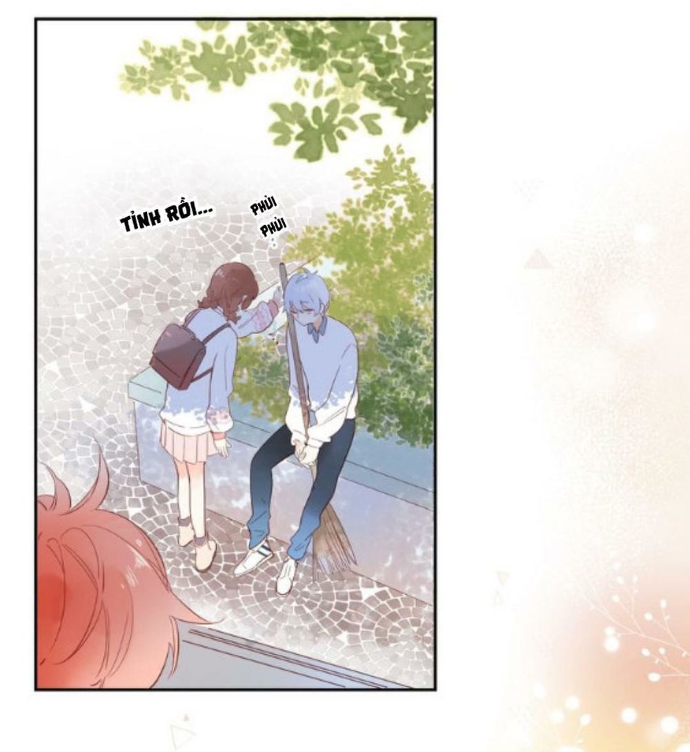 Sos! Tôi Đã Yêu Một Con Sâu Bướm Chapter 56 - 67