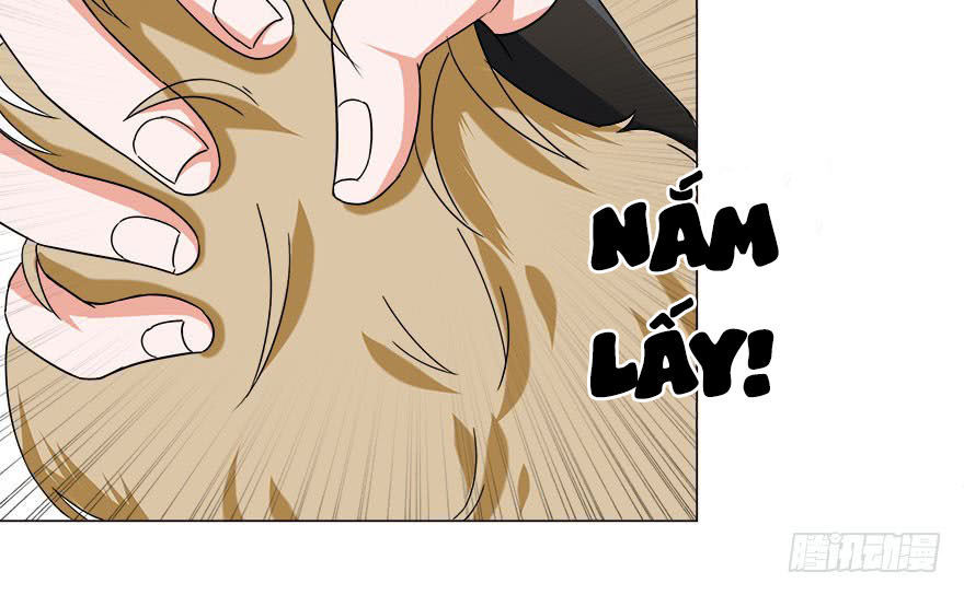 Đô Thị Tu Luyện Cuồng Triều Chapter 11 - 6