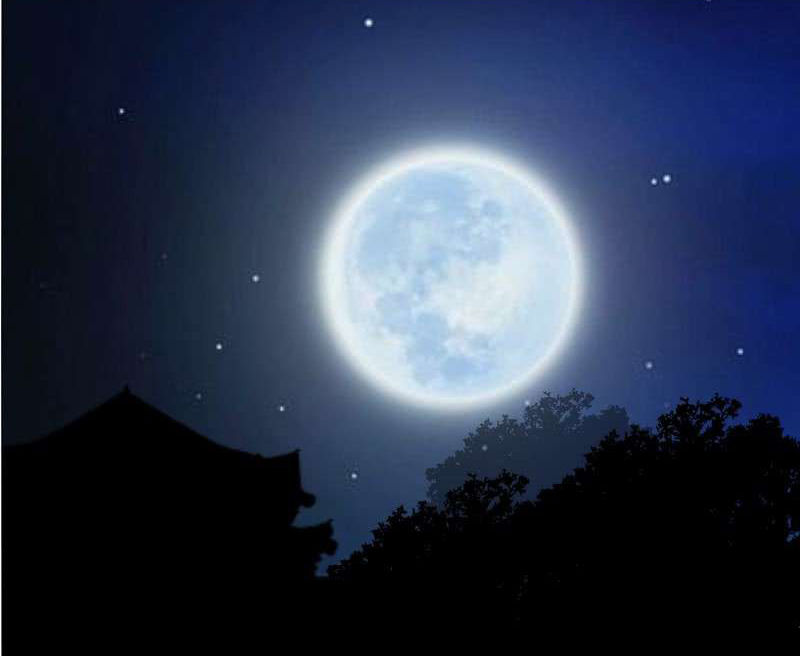 Dục Huyết Thương Hậu Chapter 107 - 10