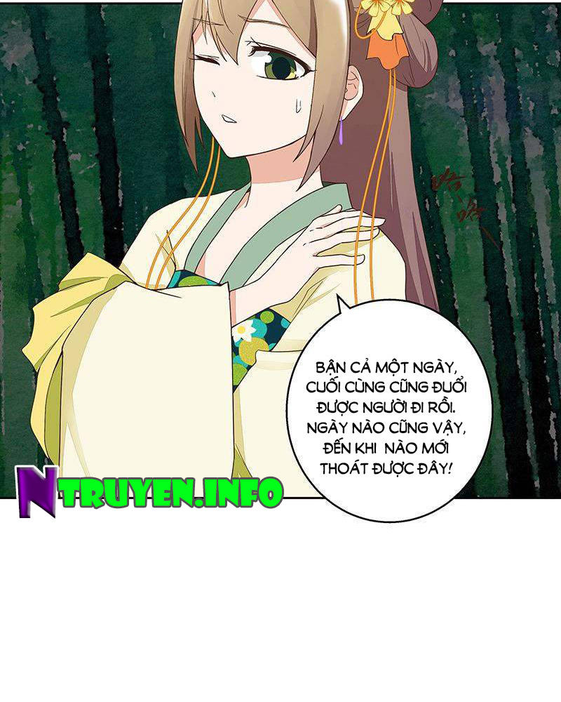 Dục Huyết Thương Hậu Chapter 48 - 11