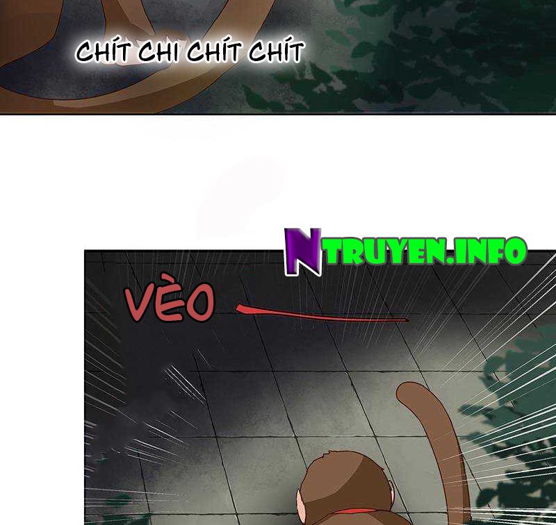 Dục Huyết Thương Hậu Chapter 70 - 40