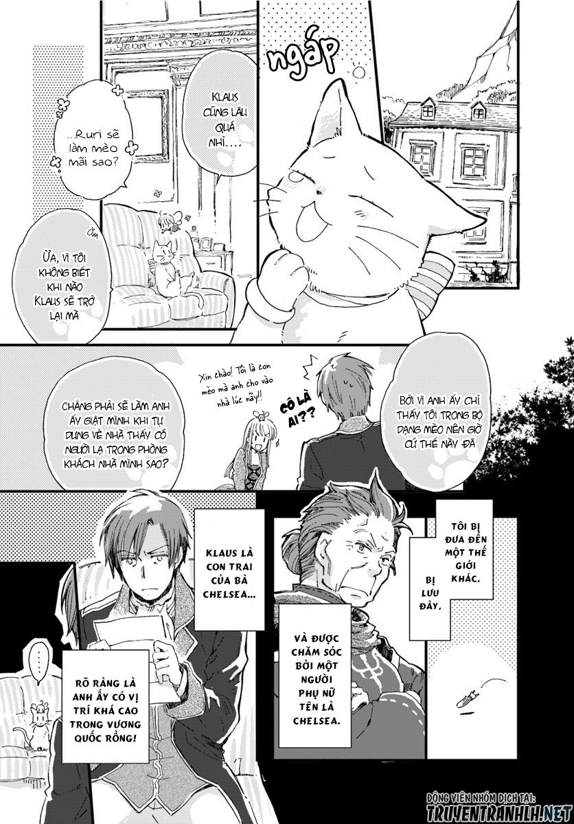 Fukushuu Wo Chikatta Shironeko Wa Ryuuou No Hiza No Jou De Damin Wo Musaboru Chapter 7 - 6