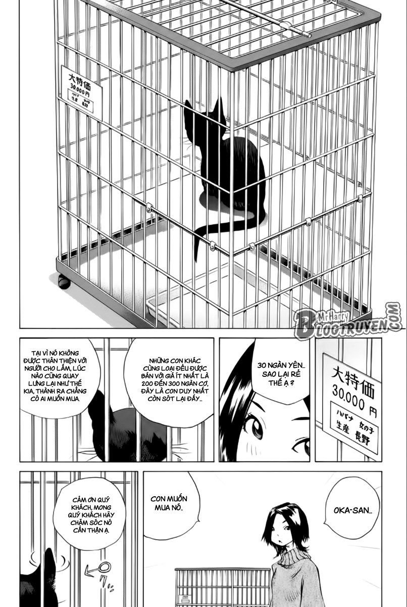 Pastel Chapter 176 - 21