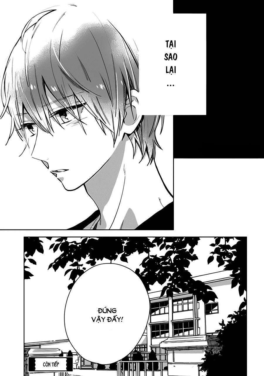 Cảm Xúc Ngọt Ngào Chapter 28 - 24