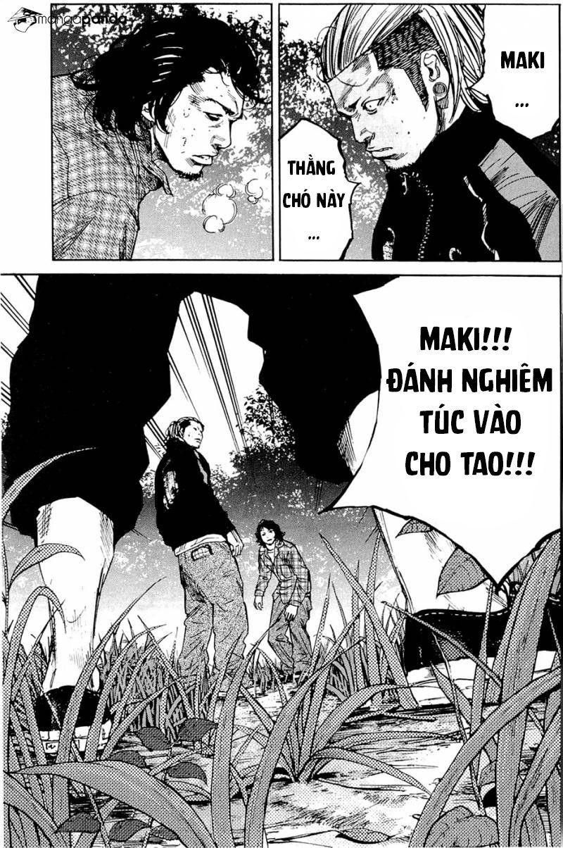 Clover Chapter 176 - 16