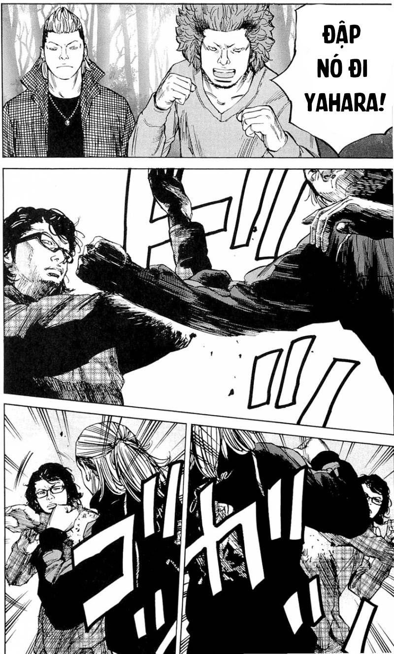 Clover Chapter 176 - 6