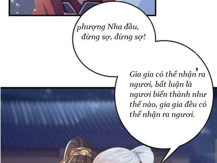 Tuyệt Sắc Quyến Rũ: Quỷ Y Chí Tôn Chapter 61 - 25