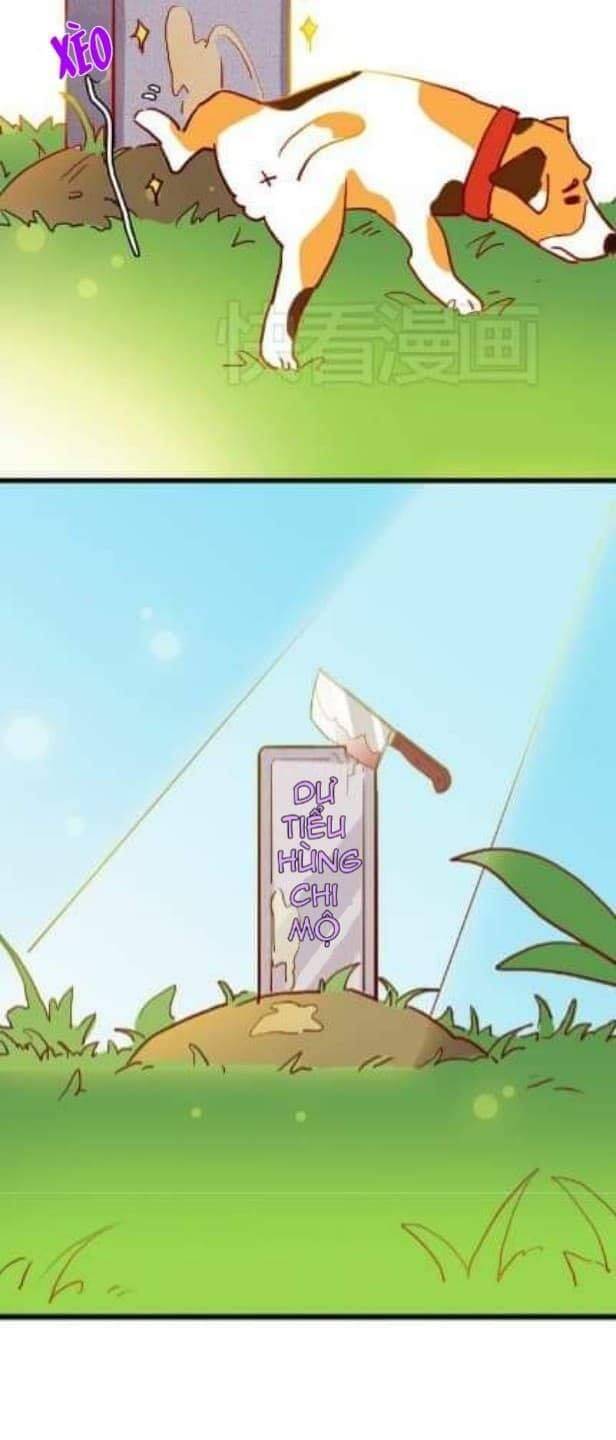 Chuyện Ngày Thường: Gấu Nhỏ Dư Và Thỏ Thỏ Hứa Chapter 9 - 21