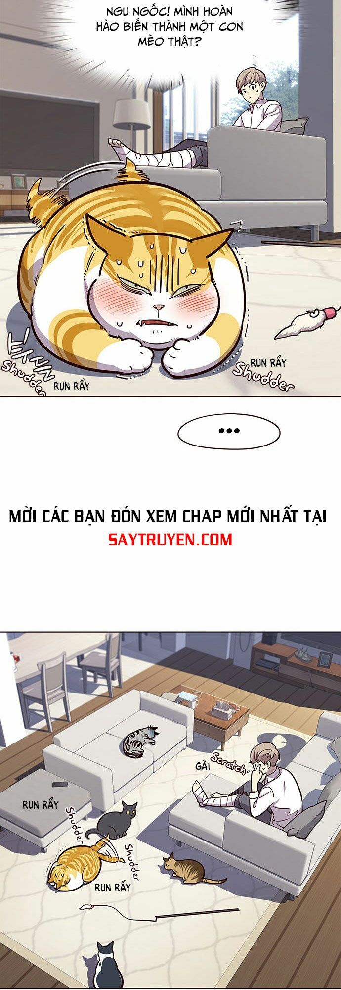 Hoá Thân Thành Mèo Chapter 16 - 24