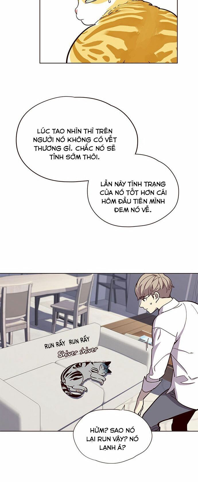 Hoá Thân Thành Mèo Chapter 16 - 26