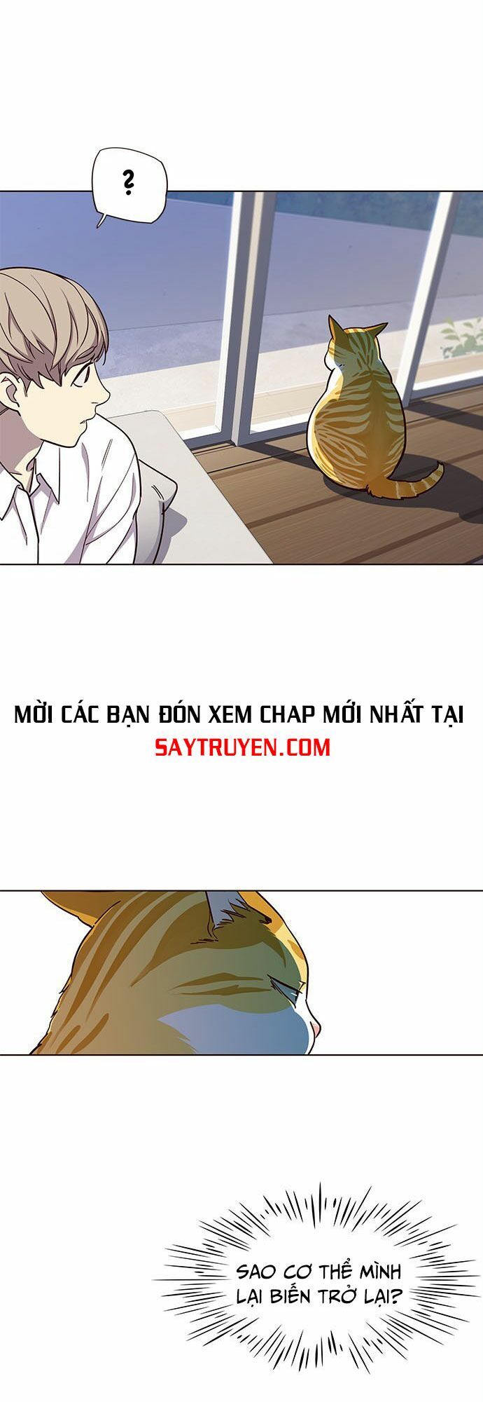 Hoá Thân Thành Mèo Chapter 16 - 10
